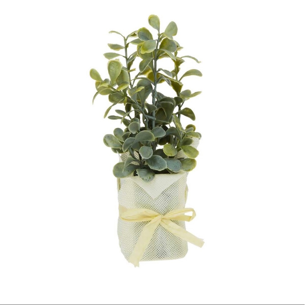 🍃 FARMHOUSE FAUX GREENERY PLANT 🍃
